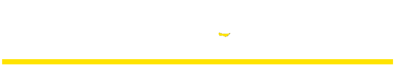 logo Autoleone Lancar